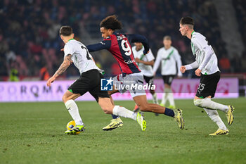 2024-02-03 - Joshua Zirkzee (Bologna Fc) in action - BOLOGNA FC VS US SASSUOLO - ITALIAN SERIE A - SOCCER