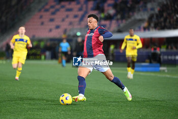2024-02-23 - Dan Ndoye (Bologna Fc) in action - BOLOGNA FC VS HELLAS VERONA FC - ITALIAN SERIE A - SOCCER