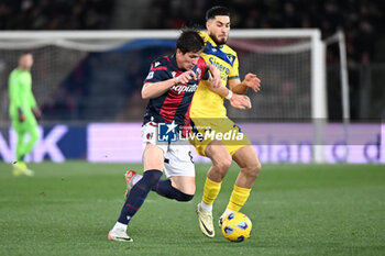 2024-02-23 - Giovanni Fabbian (Bologna Fc) in action - BOLOGNA FC VS HELLAS VERONA FC - ITALIAN SERIE A - SOCCER