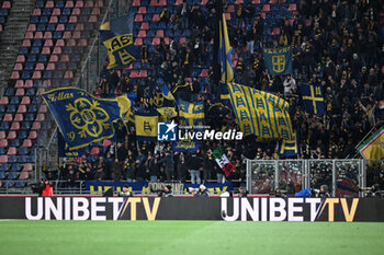 2024-02-23 - Hellas Verona supporters - BOLOGNA FC VS HELLAS VERONA FC - ITALIAN SERIE A - SOCCER