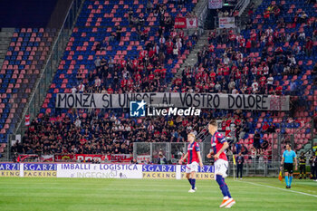 2024-04-13 - Choreography of AC Monza supporters of curva Davide Pieri: 