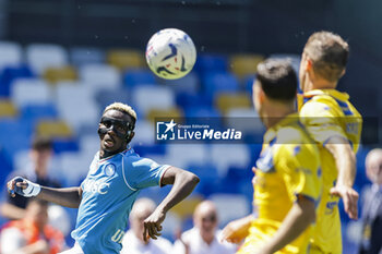 2024-04-14 - SSC Napoli's Nigerian forward Victor Osimhen looks during the Serie A football match between SSC Napoli and Frosinone at the Diego Armando Maradona Stadium in Naples, southern Italy, on April 14, 2024. - SSC NAPOLI VS FROSINONE CALCIO - ITALIAN SERIE A - SOCCER
