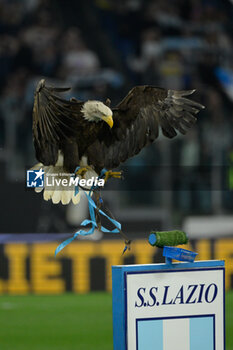 2024-04-27 - Olympia eagle during the Italian Football Championship League A 2023/2024 match between SS Lazio vs Hellas Verona at the Olimpic Stadium in Rome on 27 April 2024. - SS LAZIO VS HELLAS VERONA FC - ITALIAN SERIE A - SOCCER