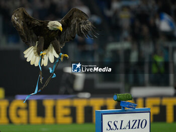 2024-04-27 - Olympia eagle during the Italian Football Championship League A 2023/2024 match between SS Lazio vs Hellas Verona at the Olimpic Stadium in Rome on 27 April 2024. - SS LAZIO VS HELLAS VERONA FC - ITALIAN SERIE A - SOCCER