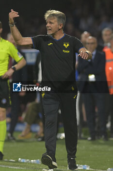 2024-05-20 - Marco Baroni coach gestures of Hellas Verona FC during the Serie A Match between US Salernitana 1919 vs Hellas Verona FC at Arechi Stadium - US SALERNITANA VS HELLAS VERONA FC - ITALIAN SERIE A - SOCCER