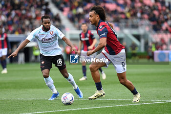 2024-04-01 - Joshua Zirkzee /bologna fc) in action - BOLOGNA FC VS US SALERNITANA - ITALIAN SERIE A - SOCCER