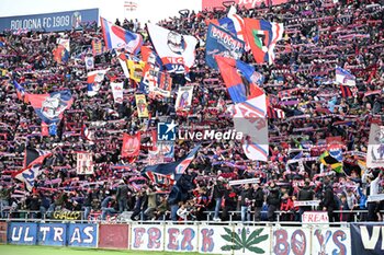 2024-04-01 - Bologna Fc supporters celebrating the victory - BOLOGNA FC VS US SALERNITANA - ITALIAN SERIE A - SOCCER