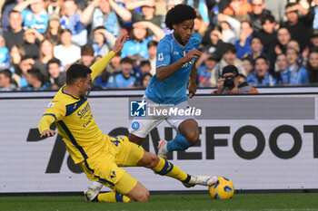 2024-02-04 - Jens Cajuste of SSC Napoli competes for the ball with \v44\ during Serie A between SSC Napoli vs Hellas Verona FC at Diego Armando Maradona Stadium - SSC NAPOLI VS HELLAS VERONA FC - ITALIAN SERIE A - SOCCER