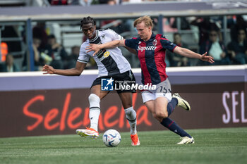 2024-04-28 - Ehizibue Kingsley (Udinese) in action - BOLOGNA FC VS UDINESE CALCIO - ITALIAN SERIE A - SOCCER