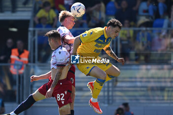2024-04-07 - Victor Kristiansen, Kacper Urbanski of Bologna F.C. and Nadir Zortea of Frosinone Calcio during the 31th day of the Serie A Championship between Frosinone Calcio vs Bologna F.C, 7 April 2024 at the Benito Stirpe Stadium, Frosinone, Italy. - FROSINONE CALCIO VS BOLOGNA FC - ITALIAN SERIE A - SOCCER