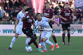 2024-04-21 - Loum Tchaouna of US Salernitana 1919 competes for the ball with Maxime Lopez of ACF Fiorentina during the Serie A Match Between US Salernitana 1919 vs AC at Arechi Stadium - US SALERNITANA VS ACF FIORENTINA - ITALIAN SERIE A - SOCCER
