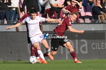 2024-04-21 - Fabiano Parisi of ACF Fiorentina competes for the ball with Mateusz Legowski of US Salernitana 1919 during the Serie A Match Between US Salernitana 1919 vs AC at Arechi Stadium - US SALERNITANA VS ACF FIORENTINA - ITALIAN SERIE A - SOCCER