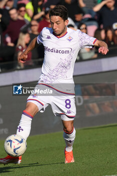 2024-04-21 - Maxime Lopez of ACF Fiorentina in action during the Serie A Match Between US Salernitana 1919 vs AC at Arechi Stadium - US SALERNITANA VS ACF FIORENTINA - ITALIAN SERIE A - SOCCER
