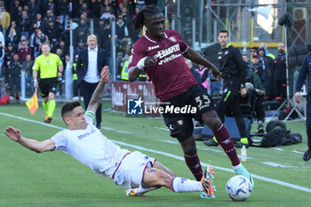 2024-04-21 - Loum Tchaouna of US Salernitana 1919 competes for the ball with \xduring the Serie A Match Between US Salernitana 1919 vs AC at Arechi Stadium - US SALERNITANA VS ACF FIORENTINA - ITALIAN SERIE A - SOCCER