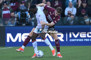 2024-04-21 - Toma Basic of US Salernitana 1919 competes for the ball with Jonathan Ikone of ACF Fiorentina during the Serie A Match Between US Salernitana 1919 vs AC at Arechi Stadium - US SALERNITANA VS ACF FIORENTINA - ITALIAN SERIE A - SOCCER