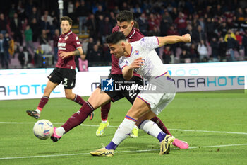 2024-04-21 - Riccardo Sottil of ACF Fiorentina competes for the ball with Niccolo Pierozzi of US Salernitana 1919 during the Serie A Match Between US Salernitana 1919 vs AC at Arechi Stadium - US SALERNITANA VS ACF FIORENTINA - ITALIAN SERIE A - SOCCER