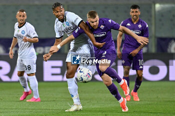 2024-05-17 - ACF Fiorentina's forward Lucas Beltran against SSC Napoli's midfielder Jens Cajuste - ACF FIORENTINA VS SSC NAPOLI - ITALIAN SERIE A - SOCCER