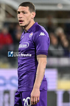 2024-05-17 - ACF Fiorentina's forward Andrea Belotti - ACF FIORENTINA VS SSC NAPOLI - ITALIAN SERIE A - SOCCER