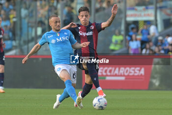 SSC Napoli vs Bologna FC - ITALIAN SERIE A - SOCCER