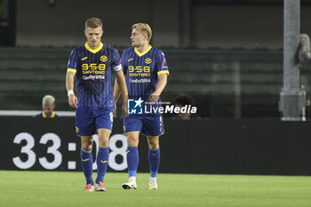 2024-09-20 - Darko Lazovic of Hellas Verona FC and Martin Frese of Hellas Verona FC expresses disappointment afther Duvan Zapata of Torino FC gol during Hellas Verona FC vs Torino FC , 5° Serie A Enilive 2024-25 game at Marcantonio Bentegodi Stadium in Verona (VR), Italy, on September 20, 2024. - HELLAS VERONA FC VS TORINO FC - ITALIAN SERIE A - SOCCER