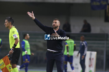 2024-09-20 - Paolo Zanetti Head Coach of Hellas Verona FC gestures during Hellas Verona FC vs Torino FC , 5° Serie A Enilive 2024-25 game at Marcantonio Bentegodi Stadium in Verona (VR), Italy, on September 20, 2024. - HELLAS VERONA FC VS TORINO FC - ITALIAN SERIE A - SOCCER