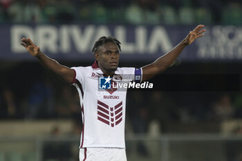 2024-09-20 - Duvan Zapata of Torino FC gestures during Hellas Verona FC vs Torino FC , 5° Serie A Enilive 2024-25 game at Marcantonio Bentegodi Stadium in Verona (VR), Italy, on September 20, 2024. - HELLAS VERONA FC VS TORINO FC - ITALIAN SERIE A - SOCCER