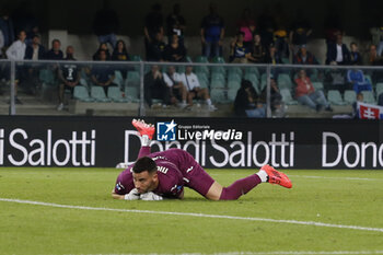 2024-09-20 - Lorenzo Montipò of Hellas Verona FC expresses disappointment during Hellas Verona FC vs Torino FC , 5° Serie A Enilive 2024-25 game at Marcantonio Bentegodi Stadium in Verona (VR), Italy, on September 20, 2024. - HELLAS VERONA FC VS TORINO FC - ITALIAN SERIE A - SOCCER