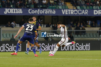 2024-09-20 - Ché Adams of Torino FC scores a goal during Hellas Verona FC vs Torino FC , 5° Serie A Enilive 2024-25 game at Marcantonio Bentegodi Stadium in Verona (VR), Italy, on September 20, 2024. - HELLAS VERONA FC VS TORINO FC - ITALIAN SERIE A - SOCCER