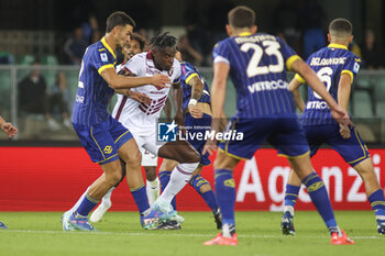 2024-09-20 - Duvan Zapata of Torino FC battle for the ball during Hellas Verona FC vs Torino FC , 5° Serie A Enilive 2024-25 game at Marcantonio Bentegodi Stadium in Verona (VR), Italy, on September 20, 2024. - HELLAS VERONA FC VS TORINO FC - ITALIAN SERIE A - SOCCER