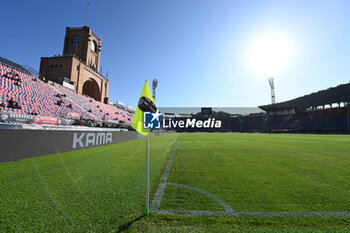 2024-11-02 - A view of Bologna FC Renato Dall'Ara stadium - BOLOGNA FC VS US LECCE - ITALIAN SERIE A - SOCCER