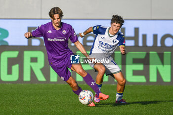 2024-11-10 - Fiorentina's Andrea Colpani hampered by Verona's Domagoj Bradaric - ACF FIORENTINA VS HELLAS VERONA FC - ITALIAN SERIE A - SOCCER