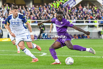 2024-11-10 - Fiorentina's Moise Kean kicks towards the goal - ACF FIORENTINA VS HELLAS VERONA FC - ITALIAN SERIE A - SOCCER