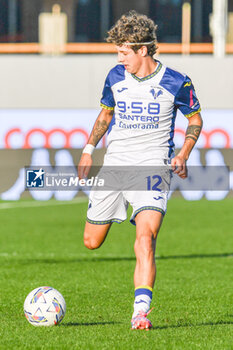 2024-11-10 - Verona's Domagoj Bradaric - ACF FIORENTINA VS HELLAS VERONA FC - ITALIAN SERIE A - SOCCER