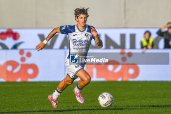 2024-11-10 - Verona's Domagoj Bradaric - ACF FIORENTINA VS HELLAS VERONA FC - ITALIAN SERIE A - SOCCER