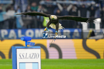 2024-11-24 - Olimpia eagle during the Italian Football Championship League A 2024/2025 match between SS Lazio vs Bologna FC at the Olimpic Stadium in Rome on 24 November 2024. - SS LAZIO VS BOLOGNA FC - ITALIAN SERIE A - SOCCER