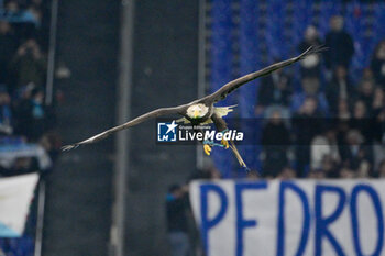 2024-11-24 - Olimpia eagle during the Italian Football Championship League A 2024/2025 match between SS Lazio vs Bologna FC at the Olimpic Stadium in Rome on 24 November 2024. - SS LAZIO VS BOLOGNA FC - ITALIAN SERIE A - SOCCER