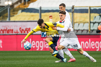 2024-02-10 - Fabio Gerli (Modena) and Federico Zuccon (Cosenza) - MODENA FC VS COSENZA CALCIO - ITALIAN SERIE B - SOCCER