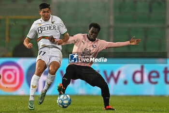Palermo FC vs Venezia FC - ITALIAN SERIE B - SOCCER