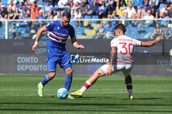 UC Sampdoria vs FC Südtirol - ITALIAN SERIE B - SOCCER