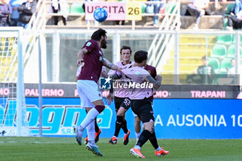 Palermo FC vs AC Reggiana - ITALIAN SERIE B - SOCCER