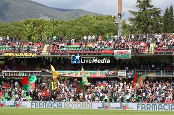 2024-05-04 - fans Ternana Sector NORD
during the Italian Serie BKT match between Ternana vs Catanzaro 05 May 2024 at the Liberati stadium in Terni Italy
(Photo by Luca Marchetti/LiveMedia)
 - TERNANA CALCIO VS US CATANZARO - ITALIAN SERIE B - SOCCER