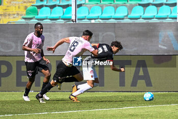 2024-05-05 - during the Italian Serie BKT match between Palermo F.C. vs Ascoli Calcio 1898 F.C. on 5th May 2024 at the Renzo Barbera stadium in Palermo, Italy - PALERMO VS ASCOLI - ITALIAN SERIE B - SOCCER