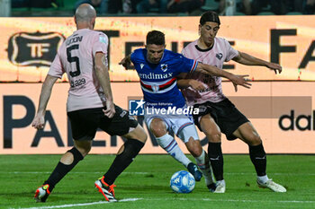 Playoff - Palermo FC vs UC Sampdoria - SERIE B - CALCIO