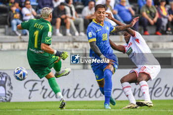 2024-09-28 - Marco Bleve (Carrarese) saves a goal - CARRARESE CALCIO VS AC REGGIANA - ITALIAN SERIE B - SOCCER