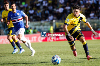 2024-09-29 - Giuseppe Caso (Modena) - MODENA FC VS UC SAMPDORIA - ITALIAN SERIE B - SOCCER