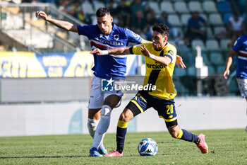 2024-09-29 - Alex Pio Riccio (Sampdoria) And Giuseppe Caso (Modena) - MODENA FC VS UC SAMPDORIA - ITALIAN SERIE B - SOCCER