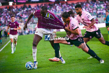 2024-10-06 - during the Italian Serie BKT match between Palermo F.C. vs Salernitana 6th October 2024 at the Renzo Barbera stadium in Palermo, Italy - PALERMO FC VS US SALERNITANA - ITALIAN SERIE B - SOCCER