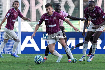 2024-10-06 - Ajdin Hrustic (Salernitana) during the Italian Serie BKT match between Palermo F.C. vs Salernitana 6th October 2024 at the Renzo Barbera stadium in Palermo, Italy - PALERMO FC VS US SALERNITANA - ITALIAN SERIE B - SOCCER