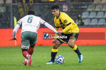 2024-10-19 - Fabio Gerli (Modena) - MODENA FC VS PALERMO FC - ITALIAN SERIE B - SOCCER