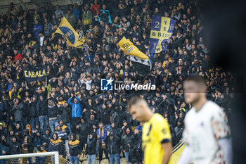 2024-10-19 - Fans Of Modena - MODENA FC VS PALERMO FC - ITALIAN SERIE B - SOCCER